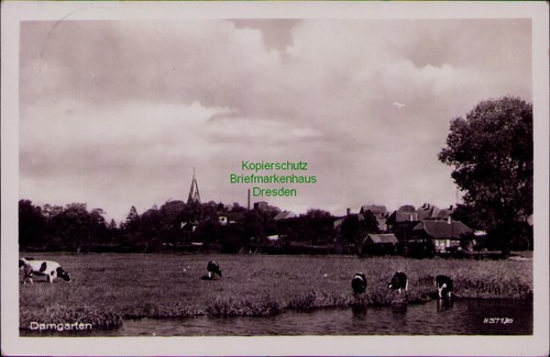 193554 ribnitz damgarten - ak, ribnitz-damgarten