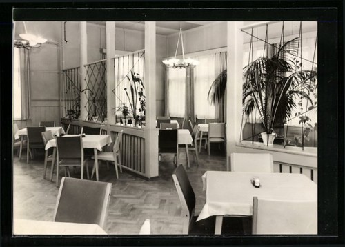 Bad sülze - bad,